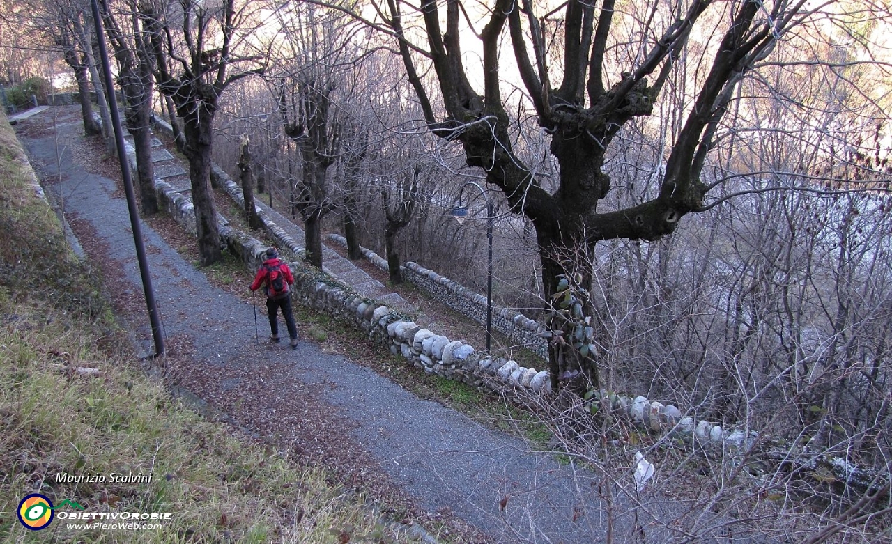 01 Il viale alberato che scende dalla Provinciale della Valle Brembana....JPG